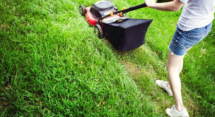 Tondre sa pelouse efficacement : ce qu’il faut savoir